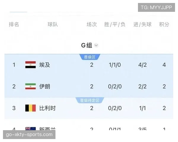 伊朗1-1埃及：世界杯G组末轮战报
